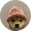 WIF-USDT-PERP